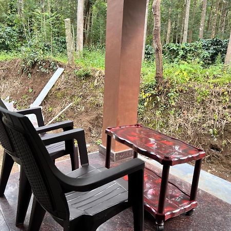 Silver Shadow Homestay Чикмагалур Экстерьер фото