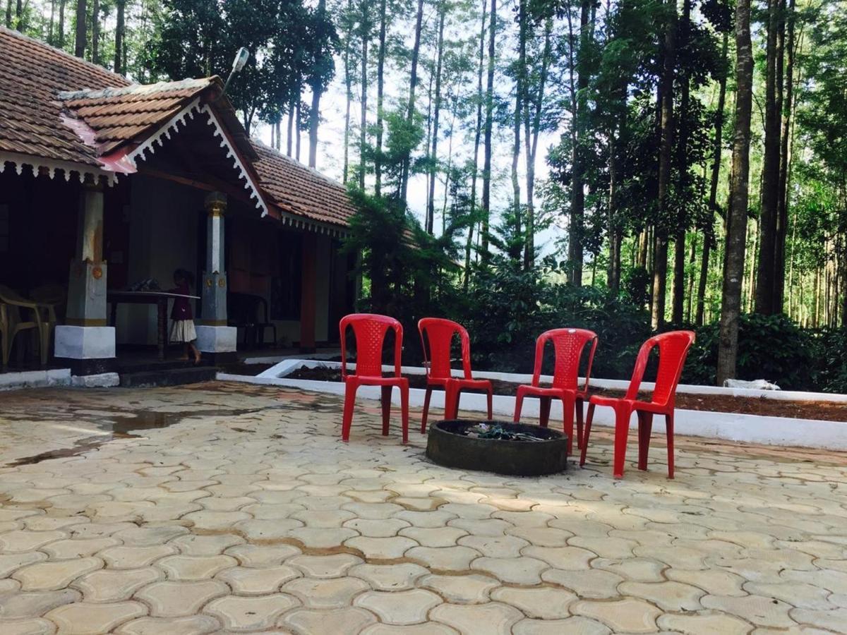 Silver Shadow Homestay Чикмагалур Экстерьер фото
